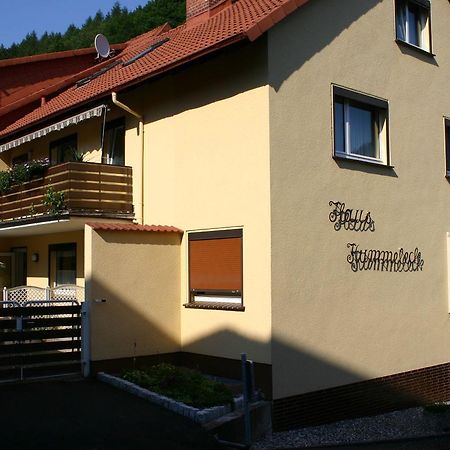 Haus-Kummeleck-Wohnung-3 Bad Lauterberg Exteriér fotografie