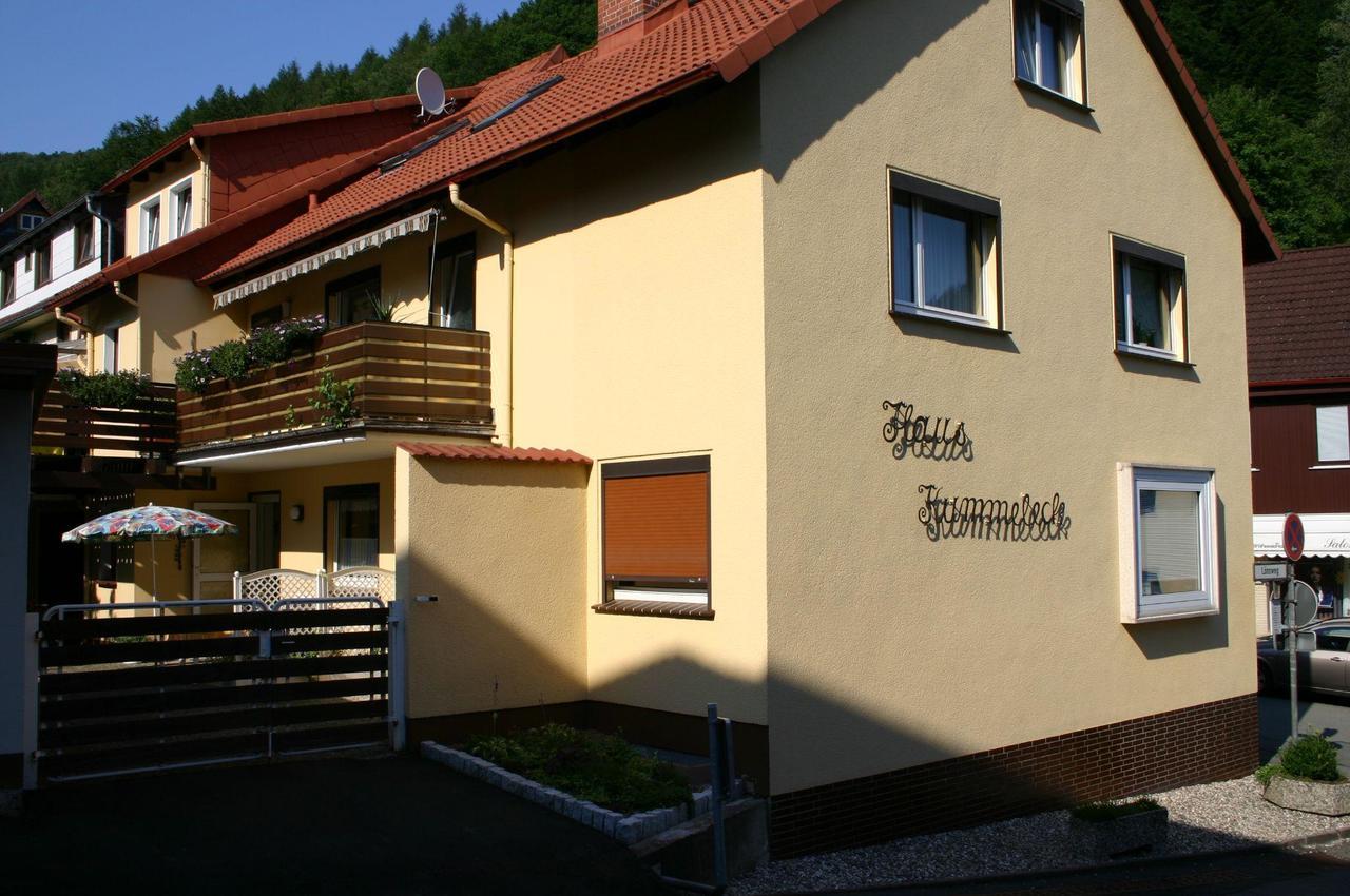 Haus-Kummeleck-Wohnung-3 Bad Lauterberg Exteriér fotografie